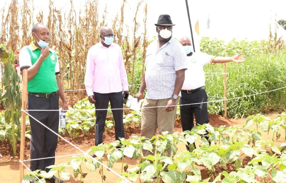 Kitale Farmers Urged to Embrace Modern Farming Methods