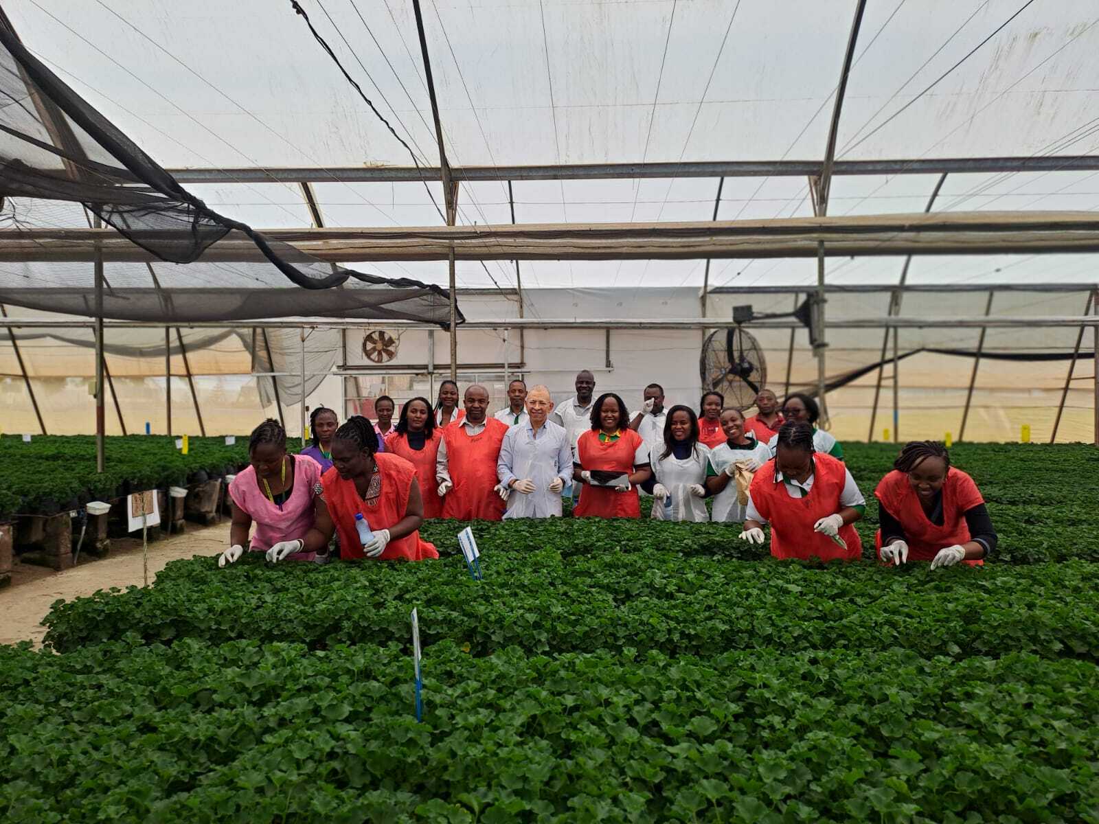 Advancing Africa Phytosanitary Programme: Dr. Osama El- Lissy Visits Kenya