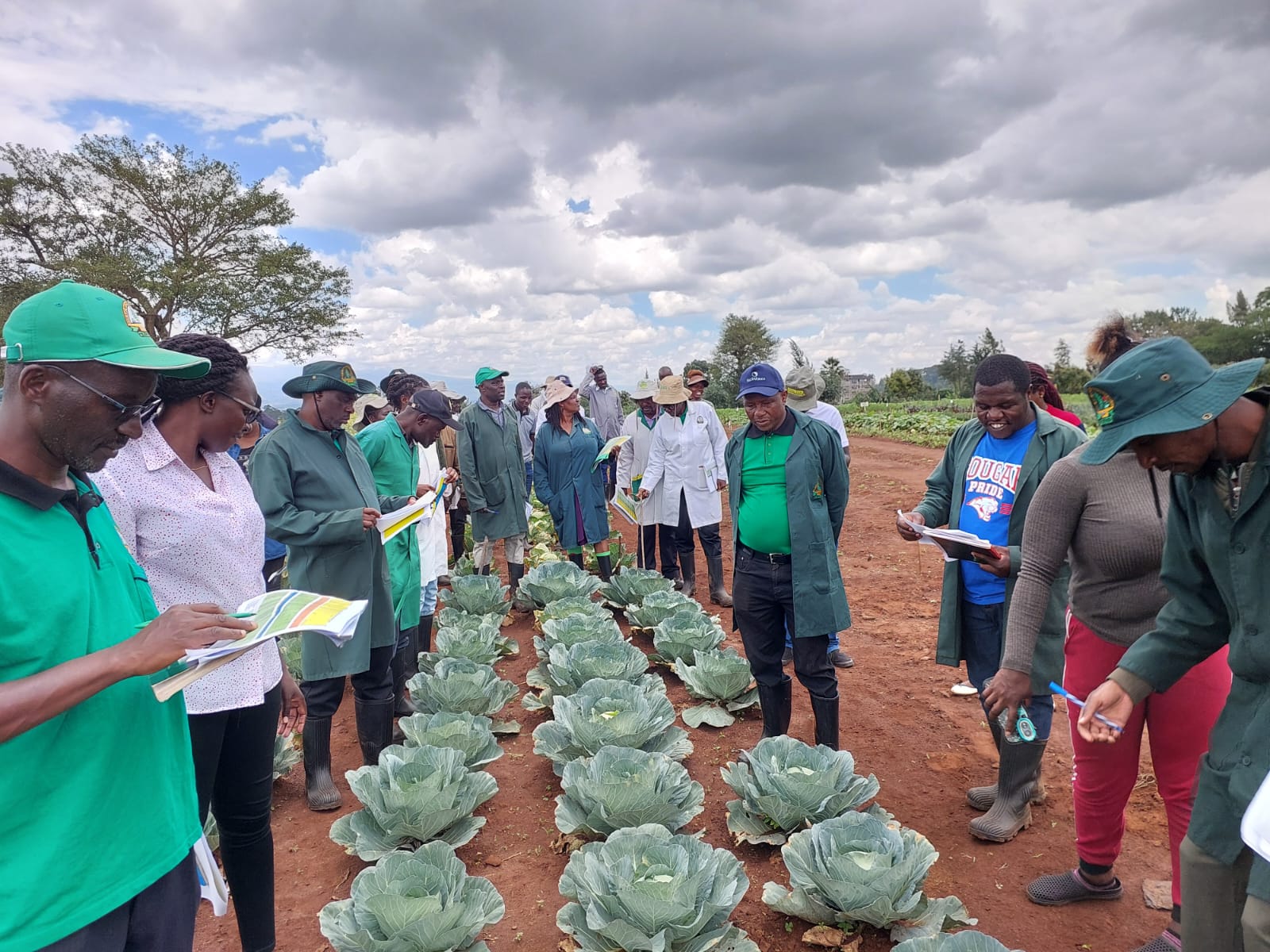 KEPHIS Holds a Joint Post Control Observation of : Forages,Sunflower and Horticultural Official Seedlots 
