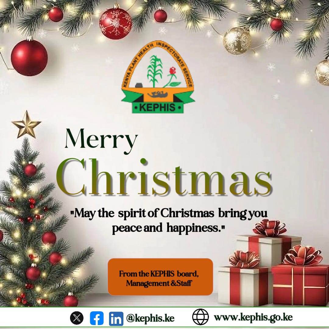 Merry Christmas 2024