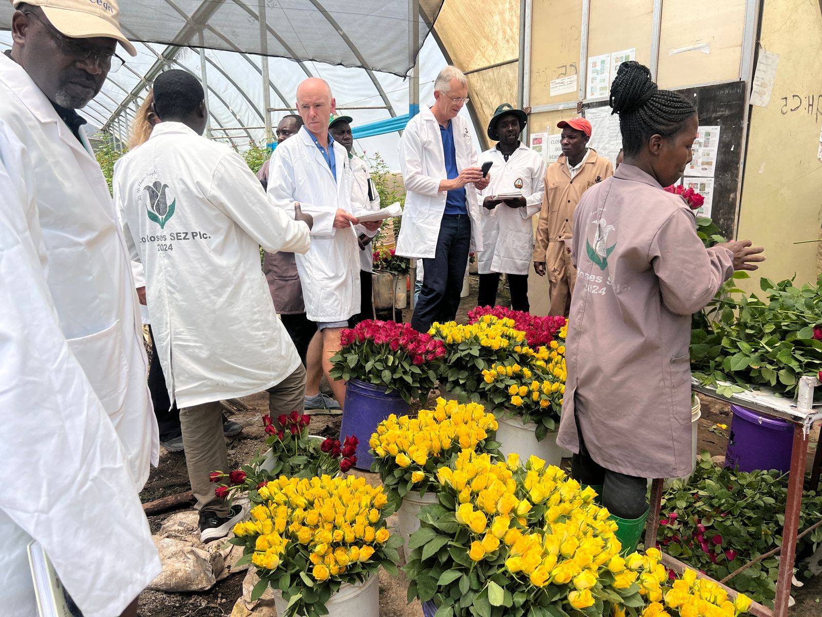 DG SANTE Conducts Audit of Kenya’s Phytosanitary Controls for Cut Flowers and Plant Cuttings Exported to the EU