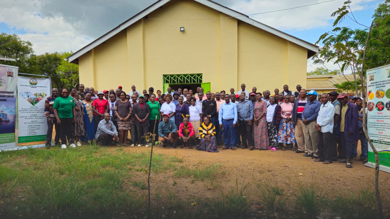 Week-Long KEPHIS Training to Equip Upper Makueni Mango Farmers for Quality Production and Market Access