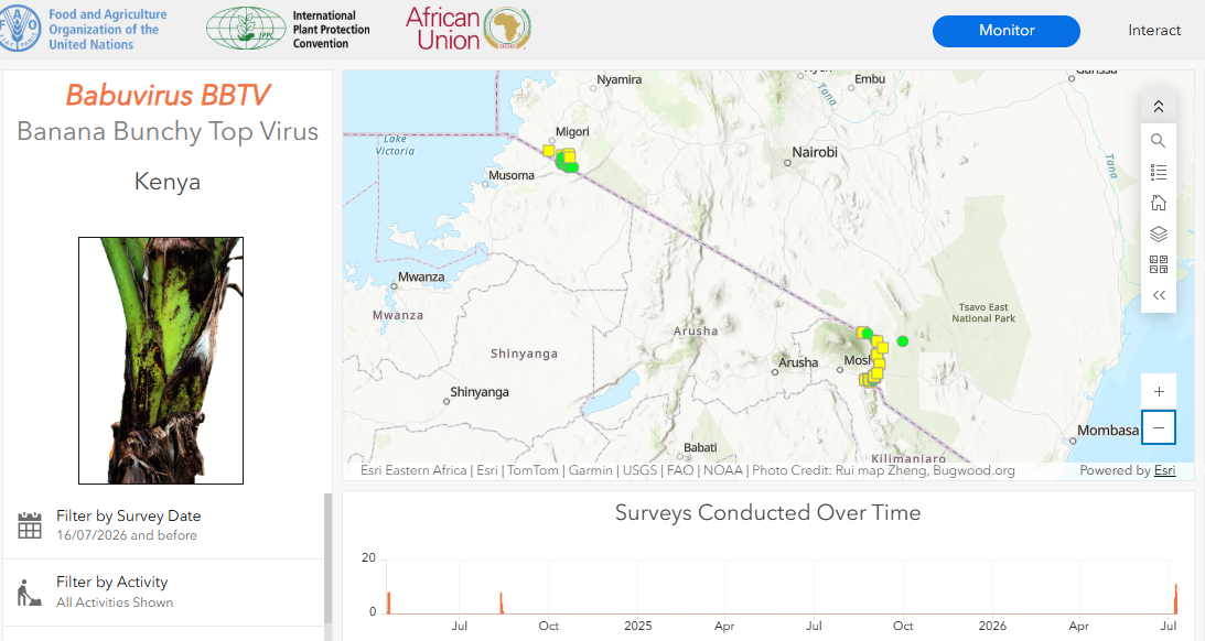 KEPHIS Enhances Surveillance of Banana Pests Using APP Digital Tools