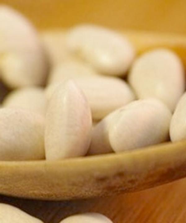 Biological Requirements