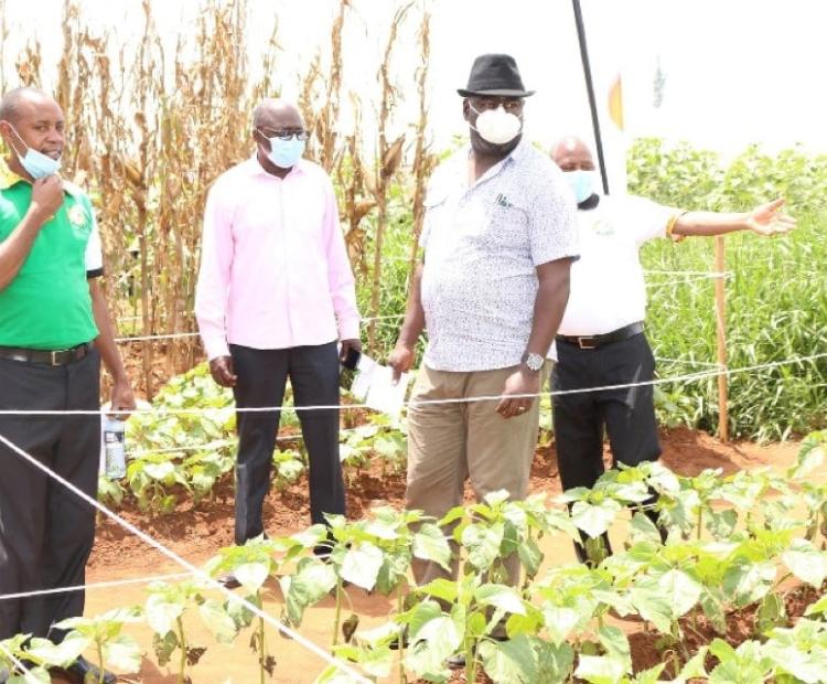 Kitale Farmers Urged to Embrace Modern Farming Methods