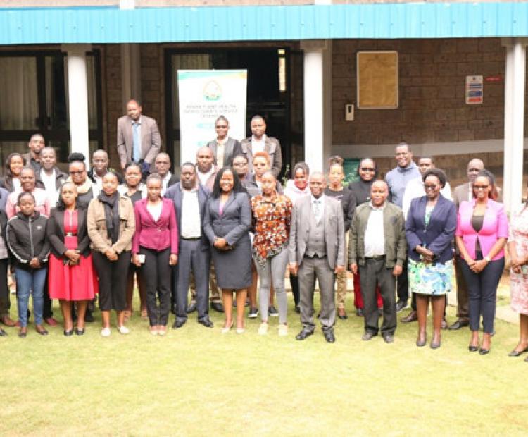 Banana Bunchy Top Disease Training 