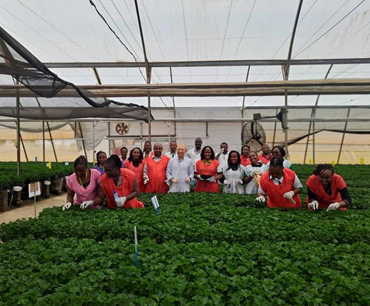Advancing Africa Phytosanitary Programme: Dr. Osama El- Lissy Visits Kenya