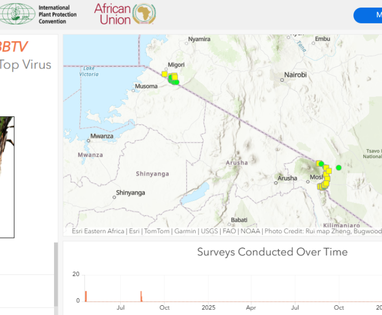 KEPHIS Enhances Surveillance of Banana Pests Using APP Digital Tools